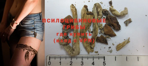тгк Гусиноозёрск